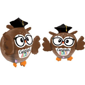 Dimensionals Grad Owl