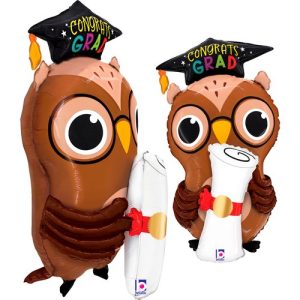 Grad Owl Diploma